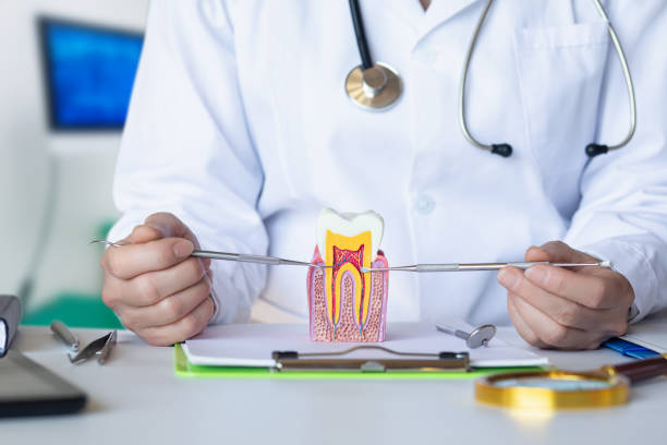 Best Emergency Dental Services for Seniors in Forsyth, IL